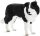 Mojö 387203 - Border Collie