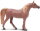 Safari Ltd. 151505 - Arabian Mare (Sorrel)