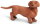 Safari Ltd. 251529 - Dackel