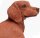 Safari Ltd. 251529 - Dackel
