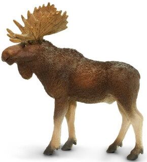 Safari Ltd. 181029 - Moose