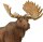Safari Ltd. 181029 - Moose
