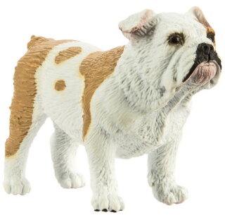Safari Ltd. 250729 - Bulldogge