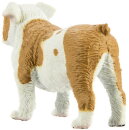 Safari Ltd. 250729 - Bulldogge