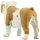 Safari Ltd. 250729 - Bulldogge