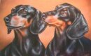 Dog Postcard Dachshund Duo