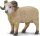 Safari Ltd. 161429 - Schafbock