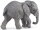 Papo 50169 - Young African Elefant
