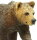 Safari Ltd. 181429 - Grizzlybär Junges