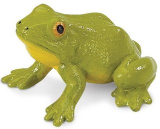 Safari Ltd. Wild Safari® North American Wildlife 181529 - Frog