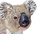 Safari Ltd. 225329 - Koala