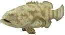 Safari Ltd. 265329 - Goliath Grouper
