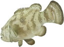 Safari Ltd. 265329 - Goliath Grouper