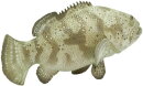 Safari Ltd. 265329 - Goliath Grouper
