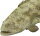 Safari Ltd. 265329 - Goliath Grouper
