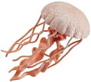 Safari Ltd. Incredible Creatures® 265529 - Jellyfish