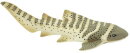 Safari Ltd. 223329 - Zebra Shark