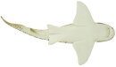 Safari Ltd. 223329 - Zebra Shark