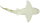 Safari Ltd. 223329 - Zebra Shark