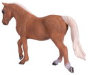 Mojö 387395 - Morgan (Palomino)