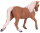 Mojö 387395 - Morgan (Palomino)