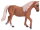 Mojö 387395 - Morgan (Palomino)