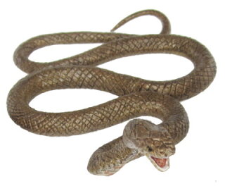 Animals of Australia 75472 - Eastern brown snake (large)