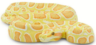 Safari Ltd. Incredible Creatures® 100250 - Albino Burmese Python