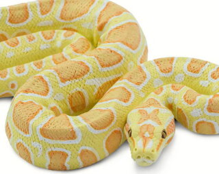 Safari Ltd. Incredible Creatures® 100250 - Albino Burmese Python