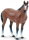 Safari Ltd. 153005 - Quarter Horse Gelding