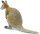 Safari Ltd. 224929 - Wallaby