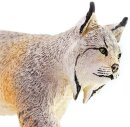 Safari Ltd. 181829 - Luchs