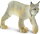 Safari Ltd. 181829 - Luchs
