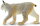 Safari Ltd. 181829 - Luchs