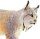 Safari Ltd. 181829 - Luchs