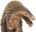 Safari Ltd. 100268 - Pangolin