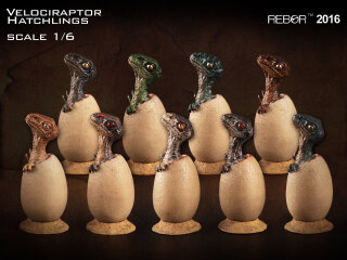 REBOR 160161 - 1:6  Velociraptor Jungtier schlüpfend (Set mit allen 9 Farben) *1