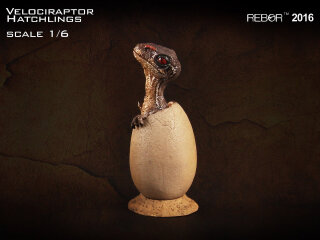 REBOR 160161 - 1:6  Velociraptor Jungtier schlüpfend (Set mit allen 9 Farben) *1