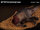 REBOR 160178 - 1:35 Tenontosaurus tilletti Corpse *1