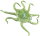 Safari Ltd. 200929 - Oceanic Octopus