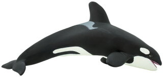 Safari Ltd. 210202 - Orca (Killerwal)