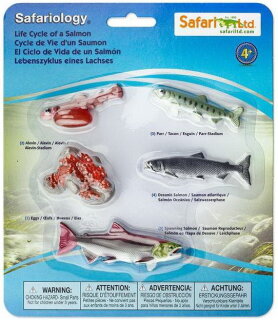 Safari Ltd. 100267 - Lebenszyklus des Lachs