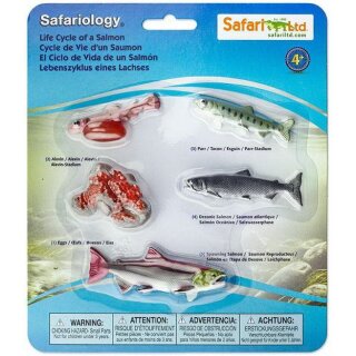 Safari Ltd. Safariology® 100267 - Lebenszyklus des Lachs