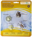 Safari Ltd. Safariology® 100406 - Lebenszyklus der Spinne