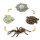 Safari Ltd. 100406 - Life Cycle of a Spider