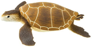 Safari Ltd. 202329 - Green Sea Turtle
