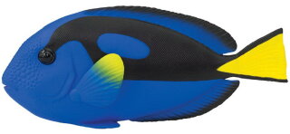 Safari Ltd. 100039 - Blue Tang