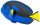 Safari Ltd. 100039 - Blue Tang