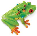 Safari Ltd. 100120 - Red-Eyed Tree Frog