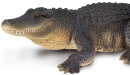 Safari Ltd. 113389 - Alligator